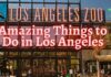 Amazing Things to Do in Los Angeles