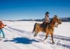 Skijoring Places