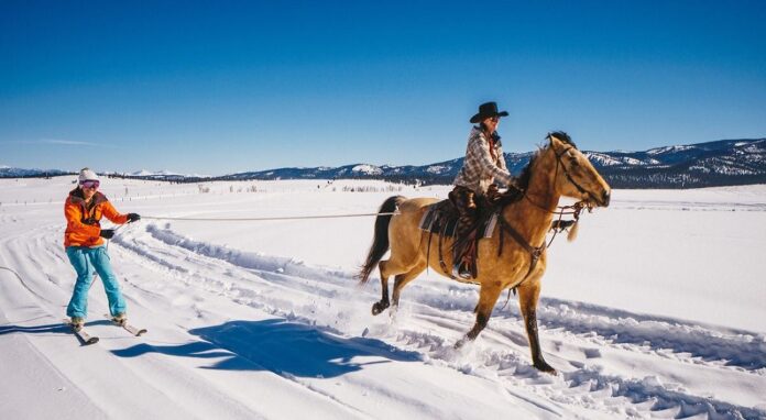 Skijoring Places