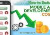 How to Reduce Mobile Application Development Costs