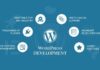 Website Development Company India