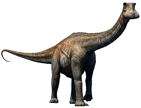 https://en.wikipedia.org/wiki/Nigersaurus