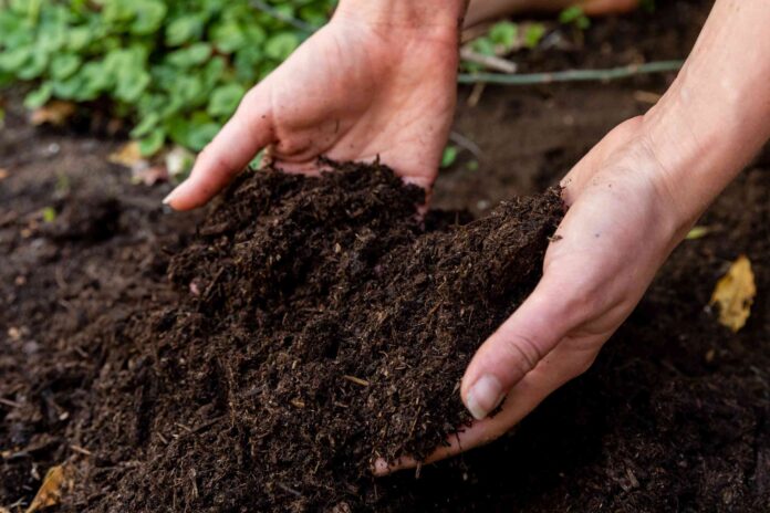 easy diy soil tests