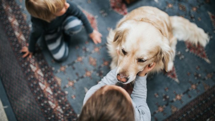 Benefits of Pets for Kids