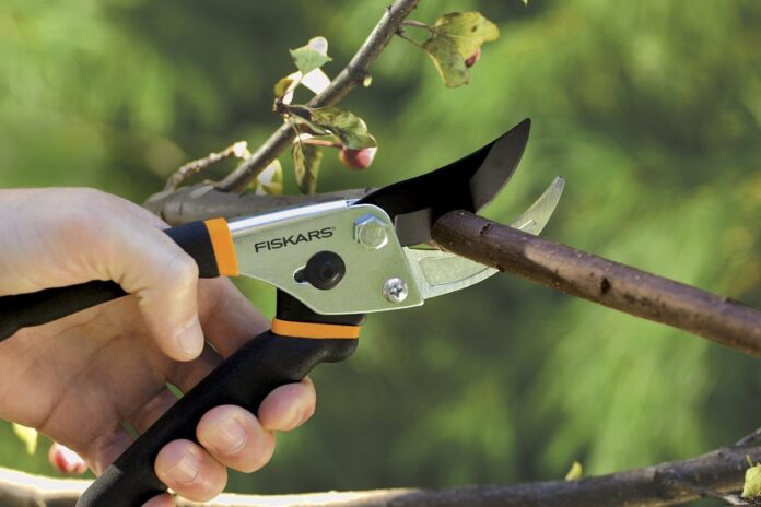 Pruning shears