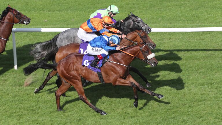 How to Use the Dutching Betting System For Horse Racing?