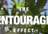 What Is The Entourage Effect