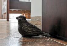 Farm Animal Door Stop